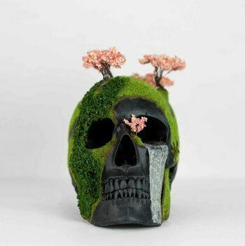 bonsaïs et têtes de mort 3