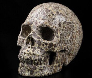 têtes de mort et pierres précieuses 4